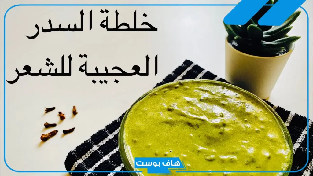خلطة هندية لتطويل الشعر بالسدر.. فوائد وأضرار السدر والحناء على الشعر