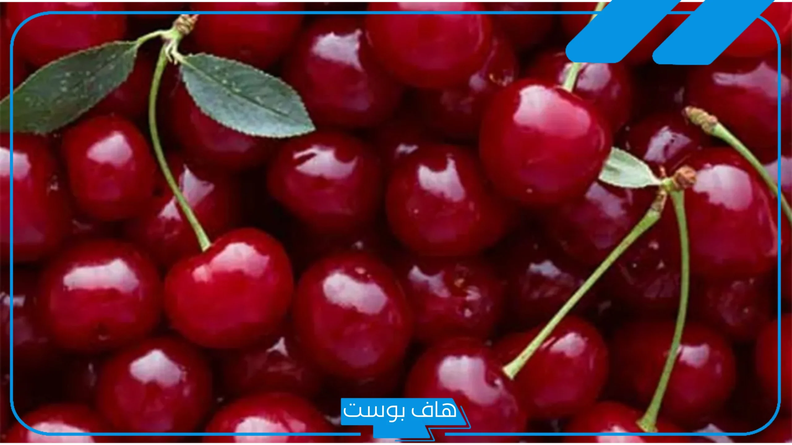 تفسير حلم اكل الكرز في المنام لابن شاهين للمتزوجة والحامل
