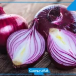 تفسير رؤية البصل في المنام لابن سيرين للمطلقة والمتزوجة