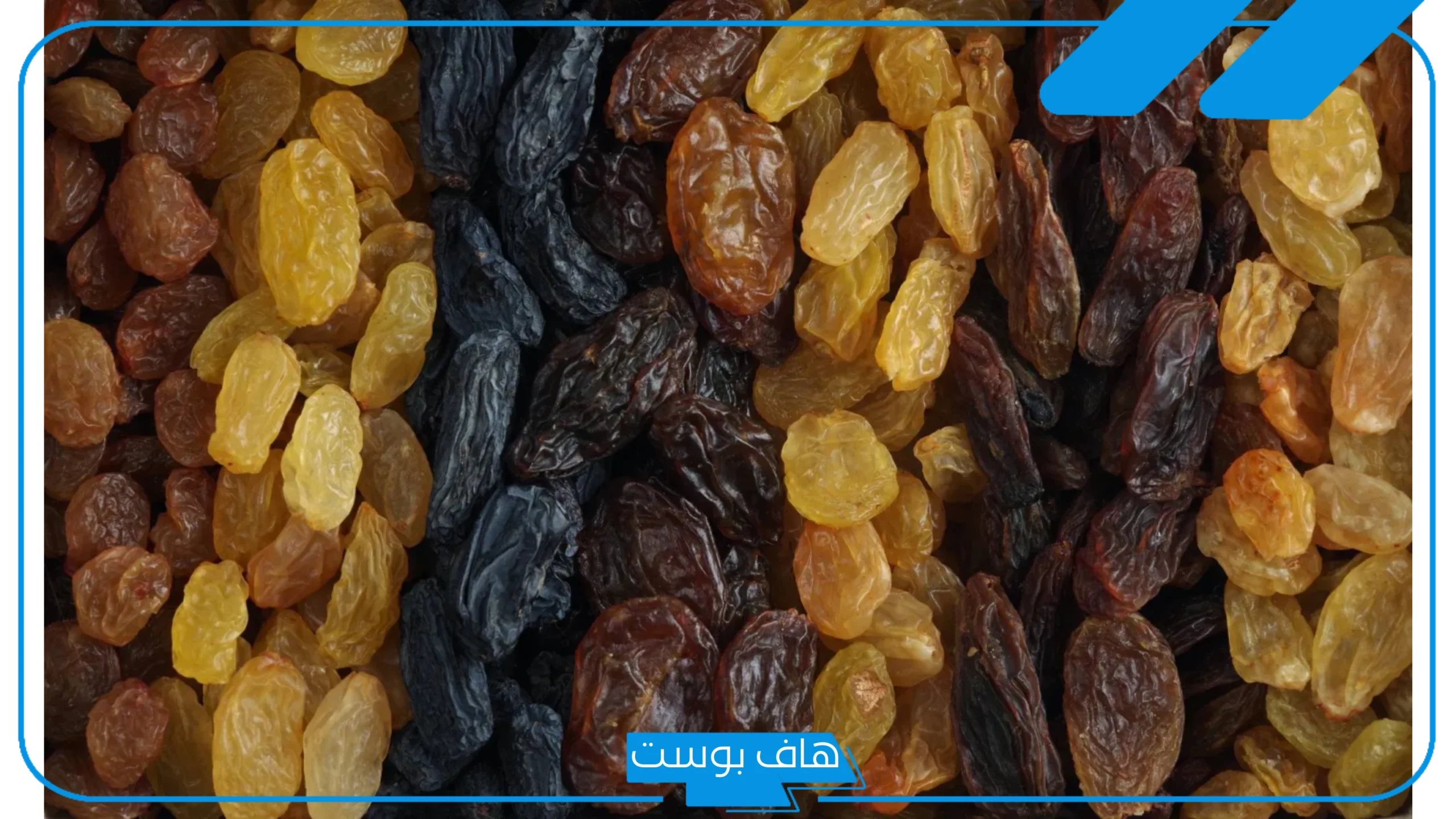 تفسير حلم الزبيب في المنام للرجل والمرأة العزباء عند ابن سيرين تفسير حلم الزبيب في المنام للرجل والمرأة العزباء عند ابن سيرين