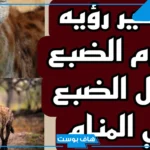 تفسير حلم رؤية الضبع يهاجم في المنام للمتزوجة والعزباء والهروب منه