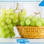 تفسير حلم حلم اكل العنب الأحمر الحلو في المنام للمتزوجة والعزباء