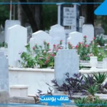 تفسير رؤية جدي المتوفي في المنام للمرأة العزباء لابن سيرين