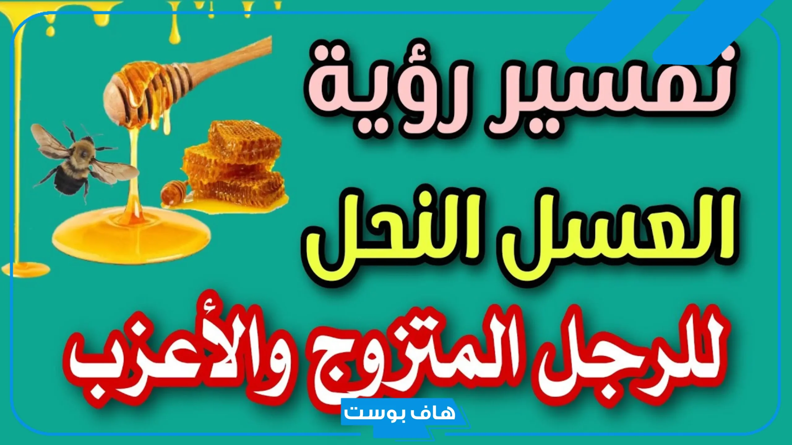 تفسير حلم العسل في المنام للرجل الأعزب والمتزوج عند ابن سيرين