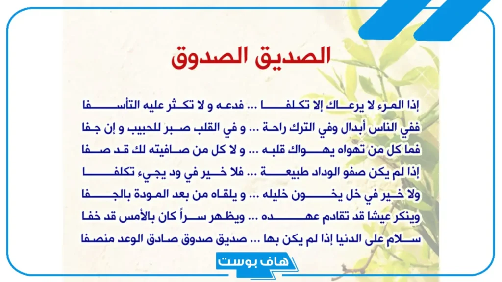 أبيات شعر عن الصداقه القويه.. كلام جميل عن الصداقة الحقيقية  أبيات شعر عن الصداقه القويه.. كلام جميل عن الصداقة الحقيقية