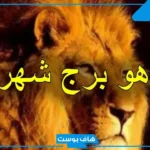 شهر 8 أي برج من الأبراج؟ ما هي الأبراج التي تتوافق مع مواليد شهر 8