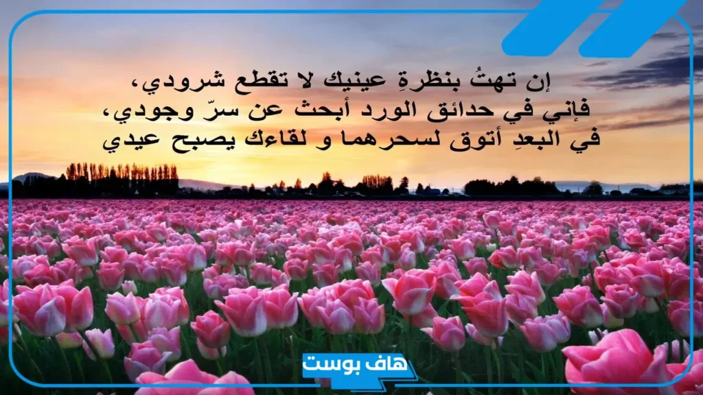عبارات جميله عن الورد والزهور.. من أجمل ما قيل عن الورد والشتاء