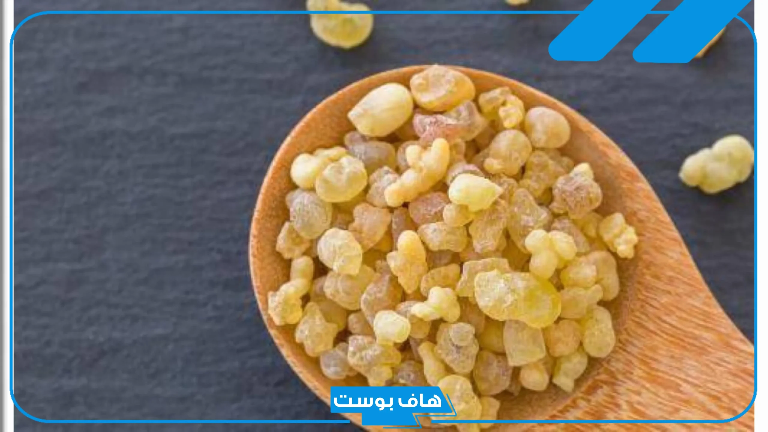 فوائد المر لتنشيط المبايض في ثلاث أيام.. تنشيط المبايض للحمل بعد الدورة