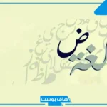 كلام جميل عن اللغة العربية قصيرة.. أروع ما قيل عن اللغة العربية للأطفال