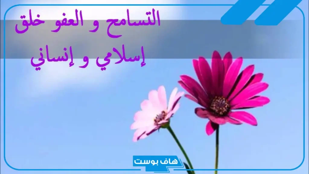عبارات عن التسامح للواتس والأصدقاء والأخوة.. كلمة عن التسامح قصيرة عبارات عن التسامح للواتس والأصدقاء والأخوة.. كلمة عن التسامح قصيرة
