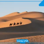 الشراري وش يرجع.. لماذا القبائل لا تتزوج الشرارات؟