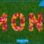 معنى اسم منى في المنام للمتزوجة والعزباء عند العالم ابن سيرين