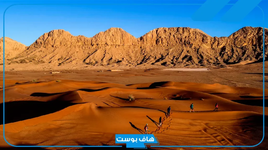 السبيعي وش يرجع نسبه؟ فروع وفخود قبيلة السبيعي