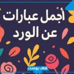عبارات جميله عن الورد والزهور.. من أجمل ما قيل عن الورد والشتاء