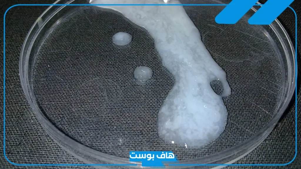 تفسير رؤية نزول المنى فى المنام للرجل والمرأة المتزوجة لابن سيرين