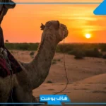 السهيمي وش يرجع.. أبرز شخصيات من قبيلة السهيمي