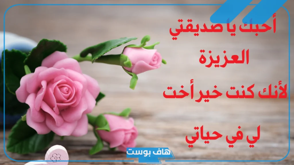 كلام جميل عن صديقتي يعبر عن حبي لها.. كلام جميل عن صديقتي بالانجليزي كلام جميل عن صديقتي يعبر عن حبي لها.. كلام جميل عن صديقتي بالانجليزي