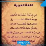 قصيدة عن اللغة العربية جميلة.. اجمل ما قيل عن اللغة العربية