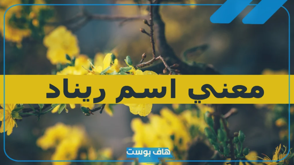 ما معنى اسم ريناد في المنام والقرآن الكريم؟ هل التسمية باسم ريناد حرام؟