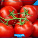تفسير حلم رؤية الطماطم في المنام للعزباء وتقطيعها عند ابن سيرين