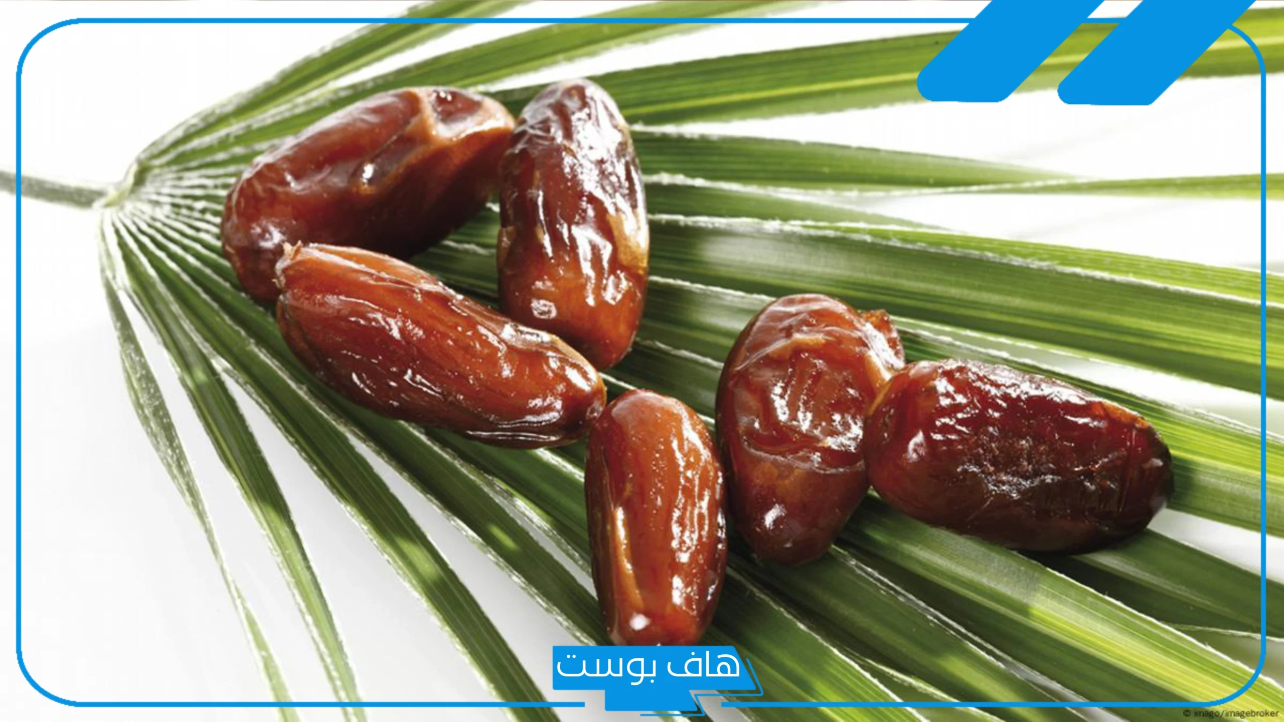 تفسير حلم التمر للعزباء في المنام ورمز أكله عند العالم ابن سيرين