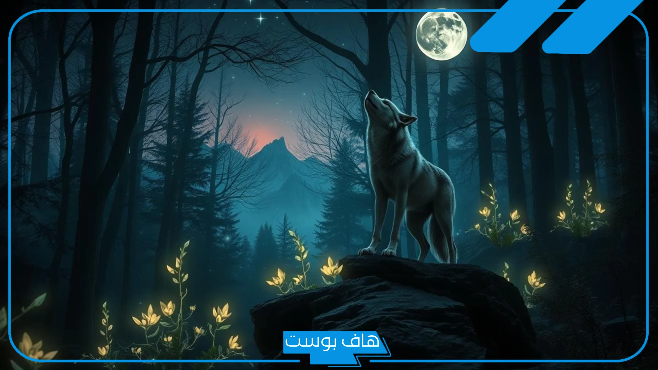 تفسير رؤية حلم الذئب وهجومه في المنام لكبار المفسرين للمتزوجة