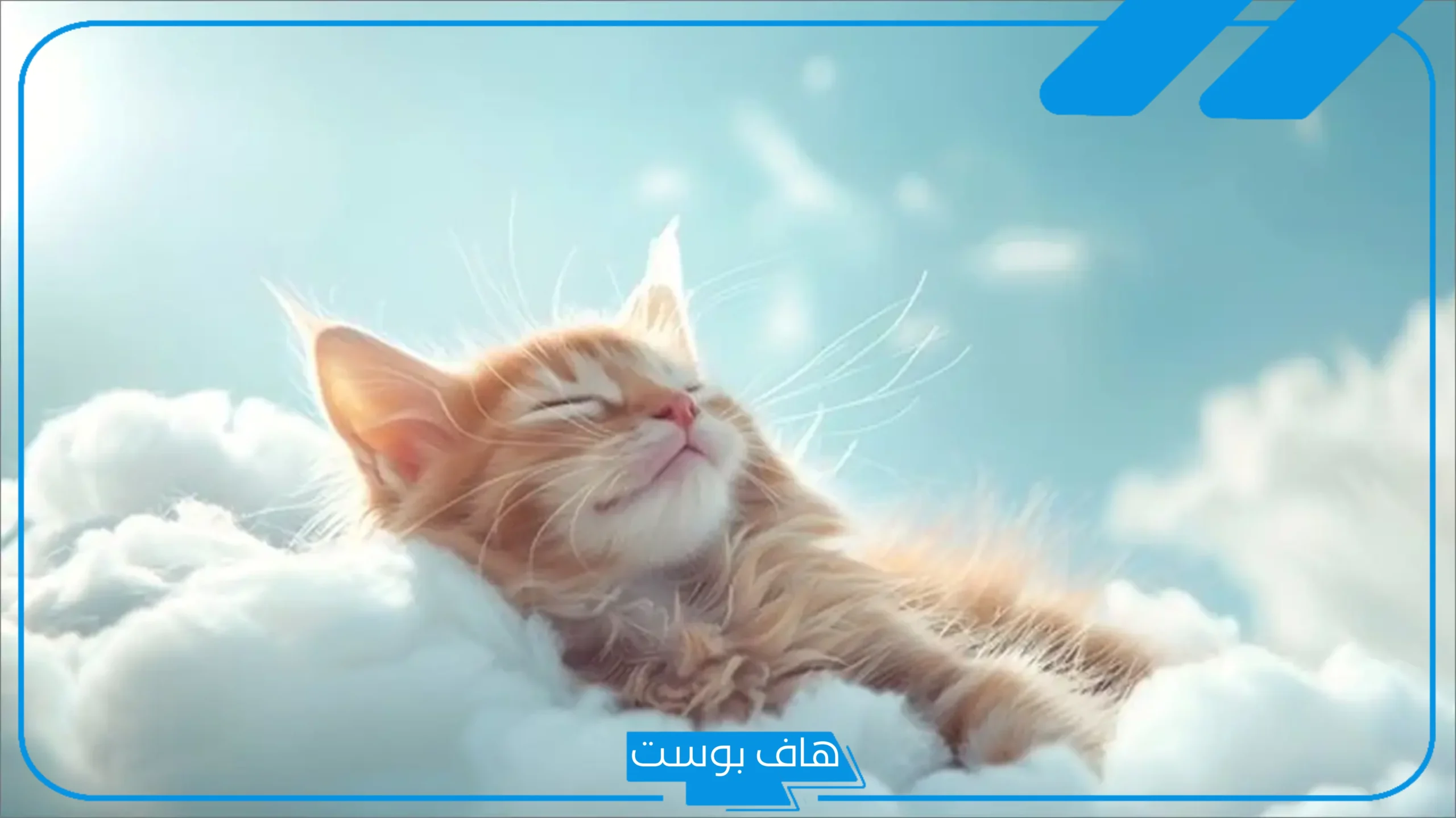 تفسير حلم رؤية القطة البيضاء في المنام للمرأة المتزوجة