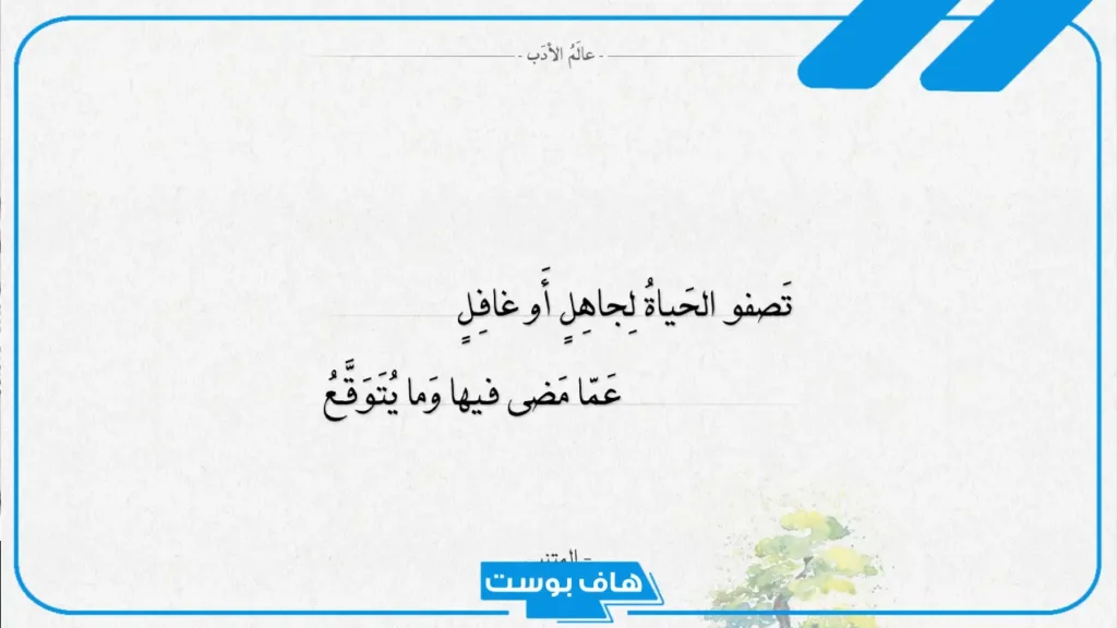 حكم المتنبي عن الأخلاق والصبر والحياة.. أجمل أقوال المتنبي عن الفضيلة