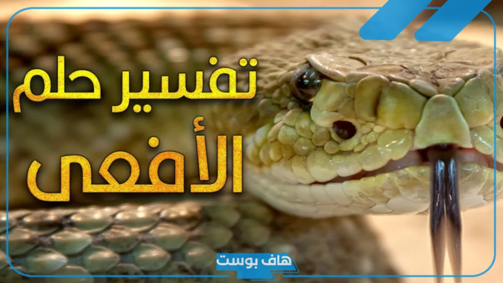 تفسير حلم رؤية افعى كبيرة في المنام والخوف منها لابن سيرين تفسير حلم رؤية افعى كبيرة في المنام والخوف منها لابن سيرين