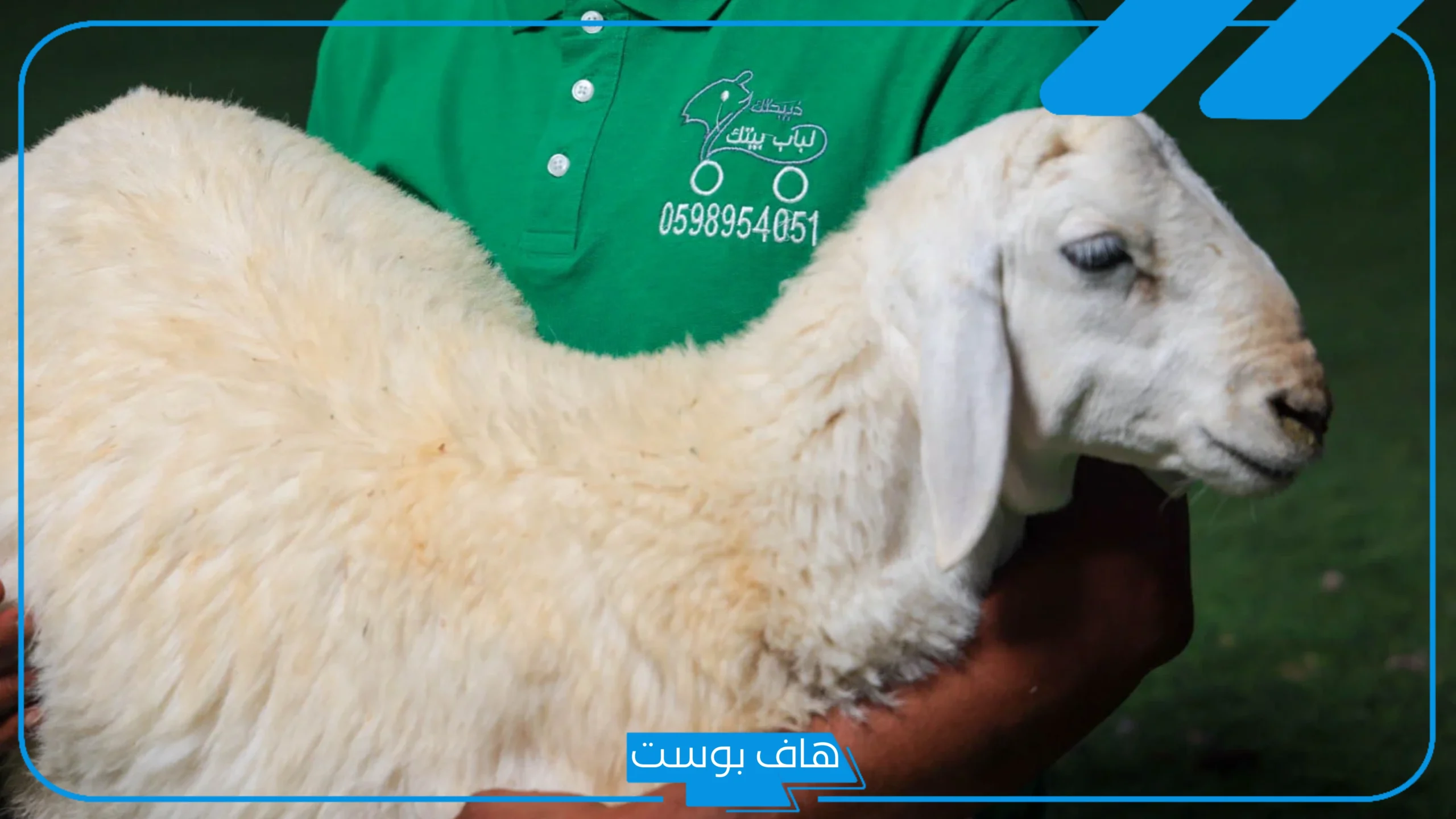 رمز الذبيحة في المنام مسلوخة لابن سيرين للمرأة المتزوجة