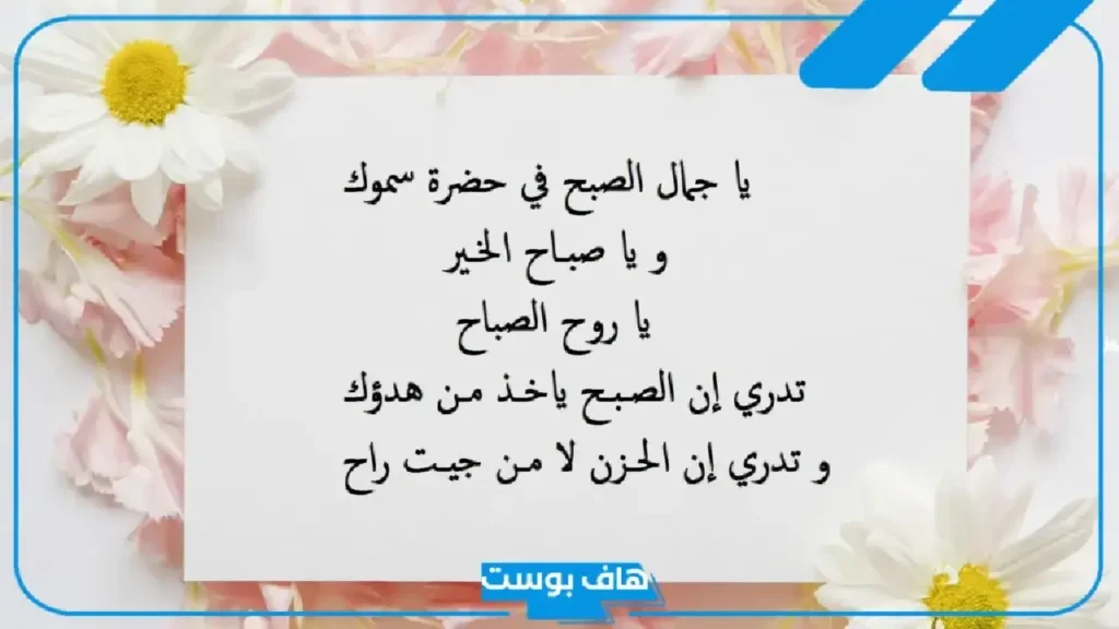 عبارات الصباح للحبيب تويتر وواتس آب.. صباح الخير للحبيب رومانسي