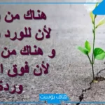 عبارات عن الامل بالله والصبر.. اجمل ما قيل عن الأماني