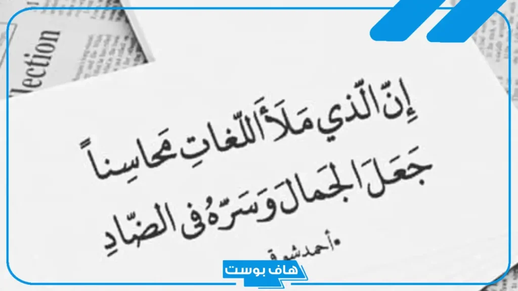 عبارة عن اللغة العربية قصيرة.. أجمل ما قيل عن يوم اللغة العربية