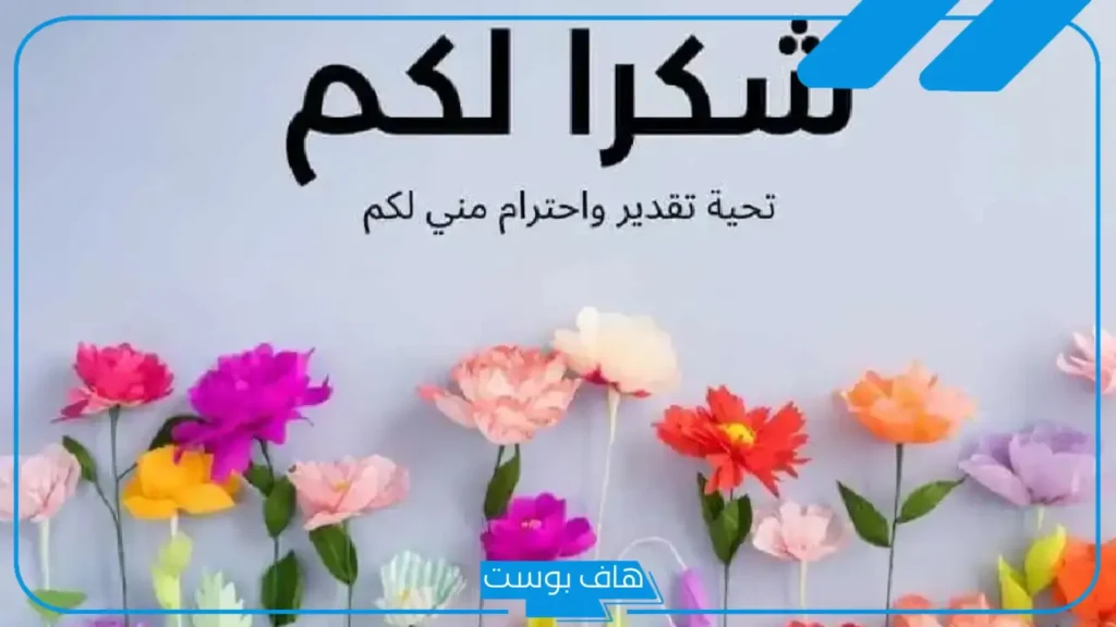 كلمات تقدير واحترام رسمية.. عبارات شكر للمعلمات المتميزات من الأمهات