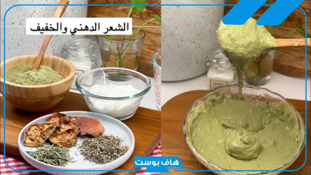 خلطات للشعر بالسدر وزيت الزيتون.. تجربتي مع السدر للشعر خلطات للشعر بالسدر وزيت الزيتون.. تجربتي مع السدر للشعر