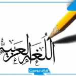 أمثلة على أدوات النفي مع الإعراب.. تدريبات على أسلوب النفي