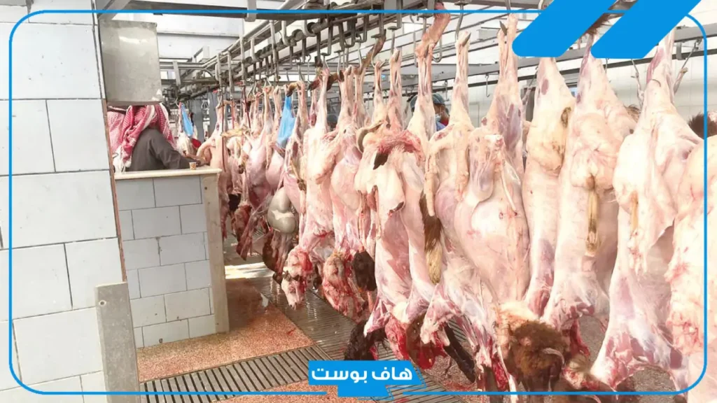 من أين تشتري ذبيحة معلقة؟ أسماء أجزائها وأنواعها وطريقة تقطيعها