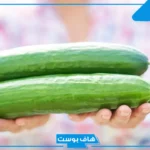 تفسير رؤية اكل الخيار في المنام لابن سيرين للسيدة المتزوجة