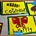 دورة حياة الفراشة بالانجليزي.. الجهاز التناسلي عند الفراشة