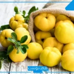 تجربتي مع السفرجل وانا حامل في الشهر الأول.. فوائد السفرجل للحمل