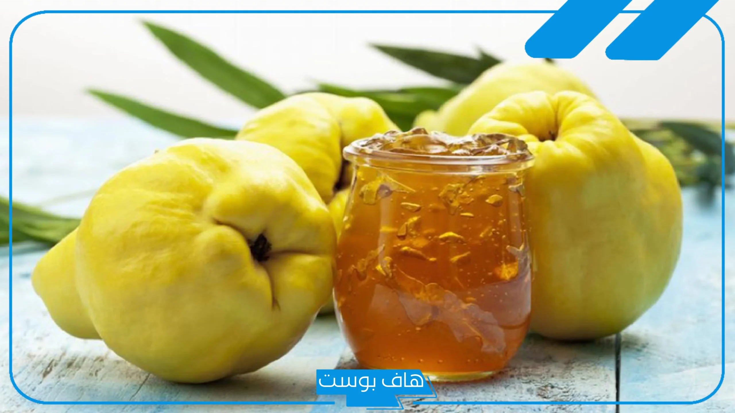 تجربتي مع السفرجل وانا حامل في الشهر الأول.. فوائد السفرجل للحمل تجربتي مع السفرجل وانا حامل في الشهر الأول.. فوائد السفرجل للحمل