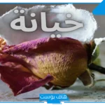 تفسير حلم خيانة الزوجة مع رجل معروف في المنام للعالم ابن سيرين