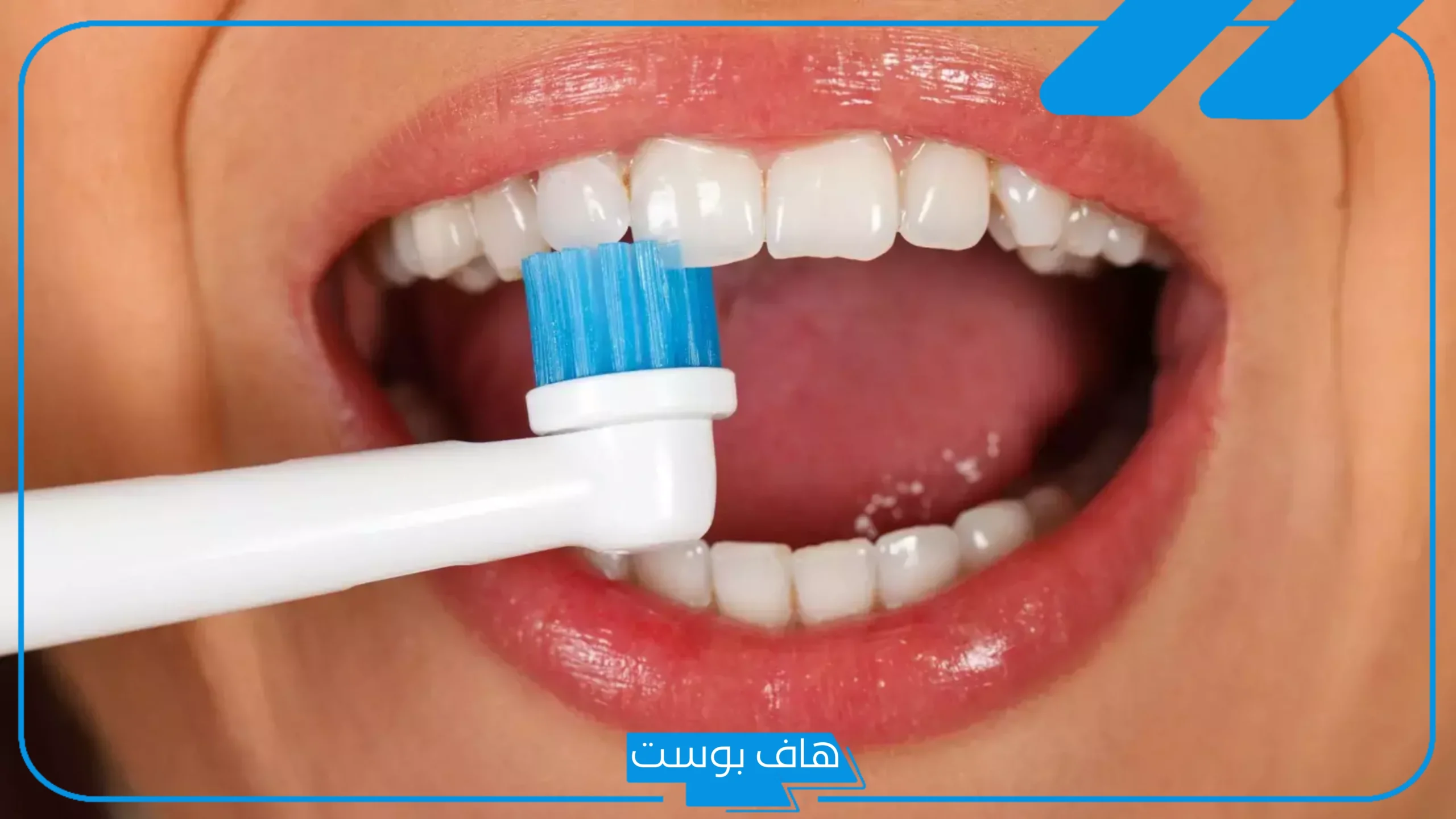 تفسير حلم فرشاة اسنان في المنام للمتزوجة والعزباء لابن سيرين تفسير حلم فرشاة اسنان في المنام للمتزوجة والعزباء لابن سيرين