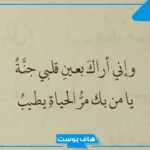 قصائد في الحب رومانسية.. شعر عن حب المرأة للرجل طويل وقصير