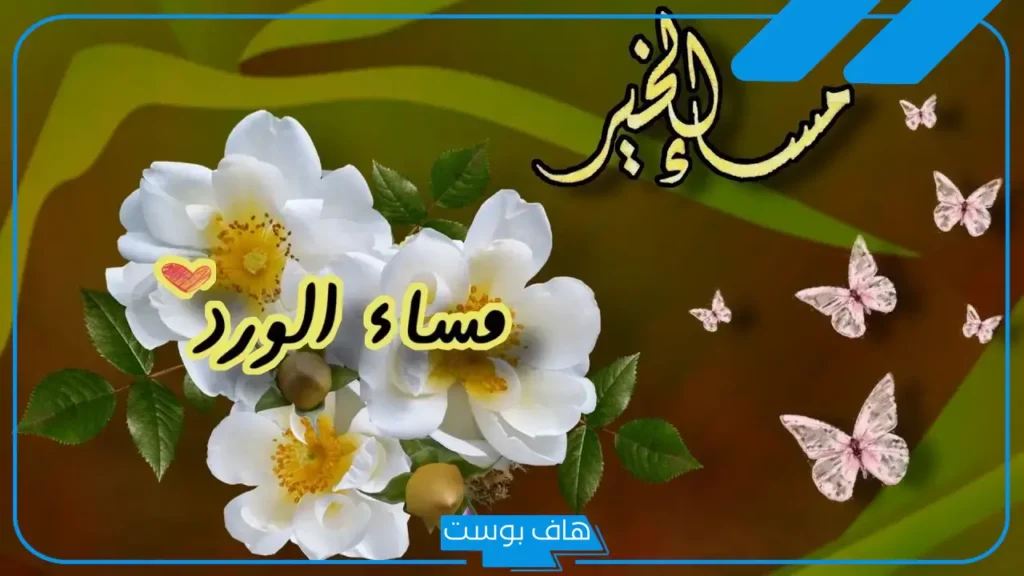 كلمات مسائيه رائعه قصيرة تويتر.. كيف أمسي بطريقة حلوة